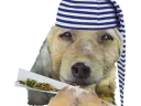 :chiendodo_joint: