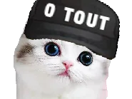 :chat0tout: