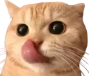 :chatslurp2: