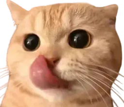 :chatslurp2: