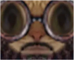 :Chat_imam_zoom:
