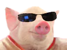 :francekrak:
