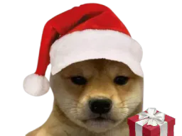 :ChienNoel: