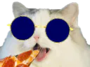 :pizzacat2: