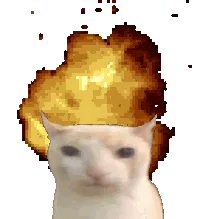 :xplode: