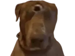 :teddicyclope2:
