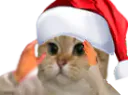 :sodium_noel: