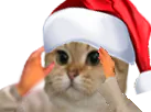 :sodium_noel: