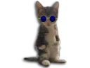 :chaton_redpill:
