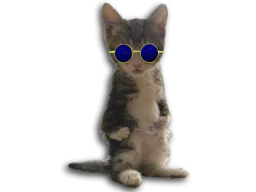 :chaton_redpill: