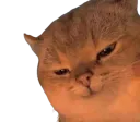 :Chat_hinhinhin: