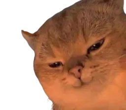 :Chat_hinhinhin: