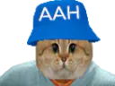 :sodium_aahh:
