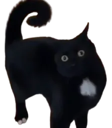 :WHUT: