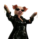 Trinitruie