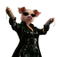Trinitruie