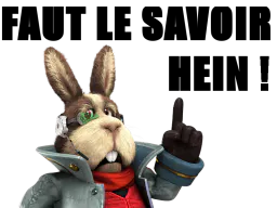 :lapin_savoir: