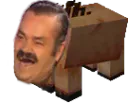 :Minecraft_opig: