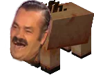:Minecraft_opig: