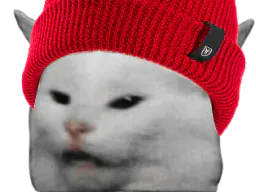 :jaunebonnet: