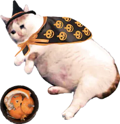 :Challoween: