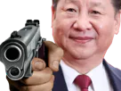 :xi_jiping_flingue: