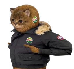 :Canada_chatkiwi: