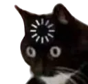 :Catlag: