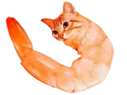 :shrat: