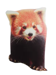 :Panda_roux: