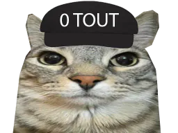 :CS_0tout: