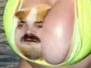 :Hamstazizir: