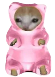 :gummy_bear_cat: