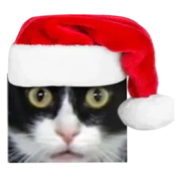 :chat_surpris_noel_regard_percant: