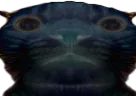 :darkchak: