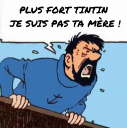 :Haddock_encule: