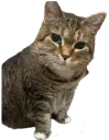 :Ethel2: