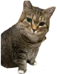 :Ethel2: