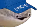 :poissoncasquette: