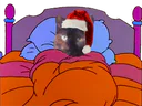 :bed: