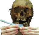 :SqueletteJoint: