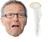 :capote_ruquier: