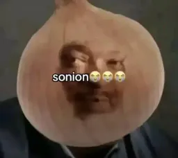 :sonion: