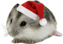 :hamster2noel: