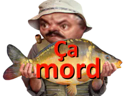 :ca_mord_: