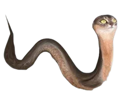:Chat-Serpent:
