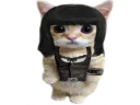 :ChatJane: