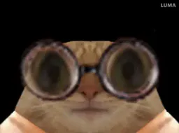 :chatFDVgif: