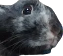 :Dornette2: