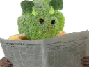 :brocoli_journal: